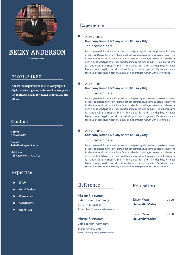 Modern Pharmacist Resume